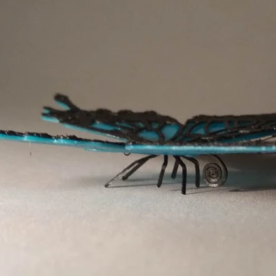 Mô hình Bướm 3D - Trang trí nhà cửa