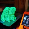 Fred The Frog Voronoi - Nhẹ Tênh - Thumbnail 1