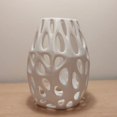 Lại Một Chậu Hoa Voronoi Nữa