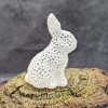 Thỏ Voronoi - Mẫu Thiết Kế Độc Đáo - Thumbnail 2