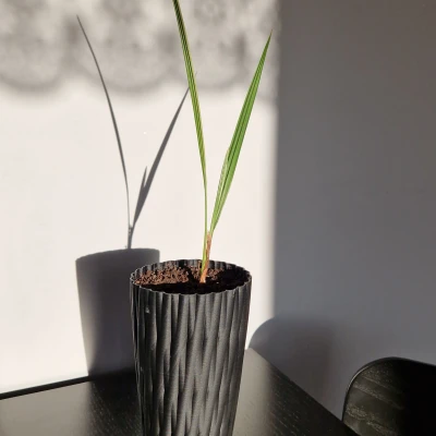 Chậu hoa cao cho cây dừa