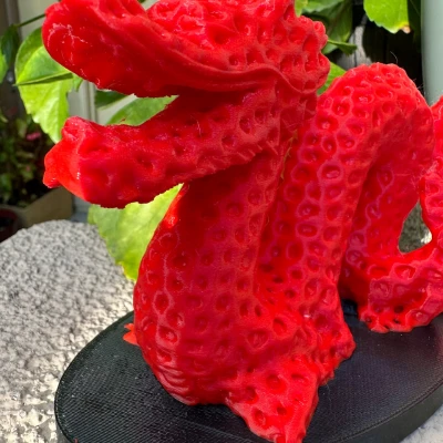 Rồng Vàng Năm 2024 V1