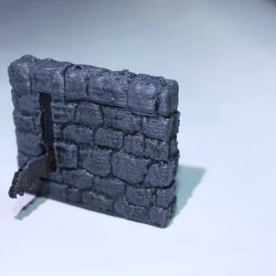 Tường Bẫy RPG Phong Cách DaD 2x PIP FDM Không Cần Hỗ Trợ