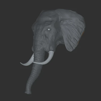 Mô hình đầu voi 3D