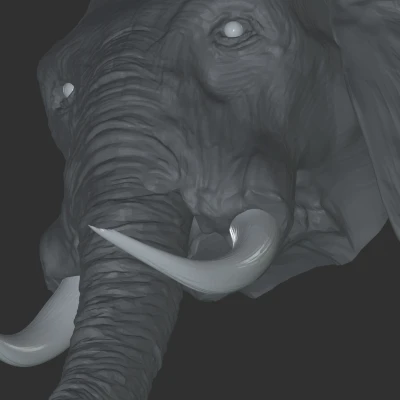 Mô hình đầu voi 3D