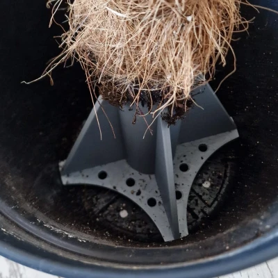 Chân Đế Trụ Xơ Dừa