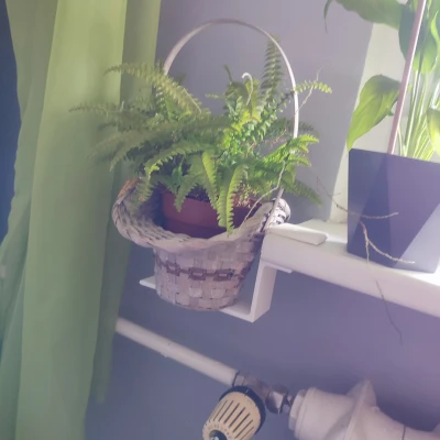 Phụ kiện gắn ngoài bậu cửa sổ cho chậu hoa