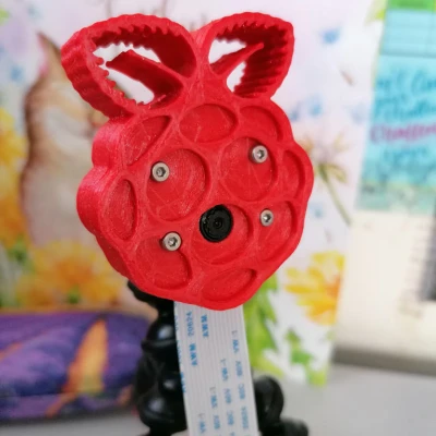 Vỏ Hộp Tripod Camera Raspberry Pi Module v1.3