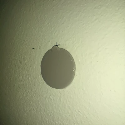 Móc treo hình dán tường