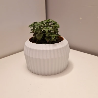 Chậu Hoa Hình Bánh Răng