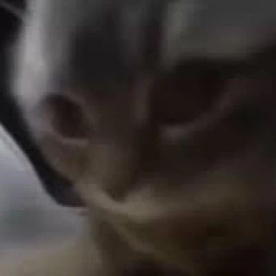 Mã QR cho Bài Hát CHIPI CHIPI CHAPA CHAPA DUBI DUBI (1H)