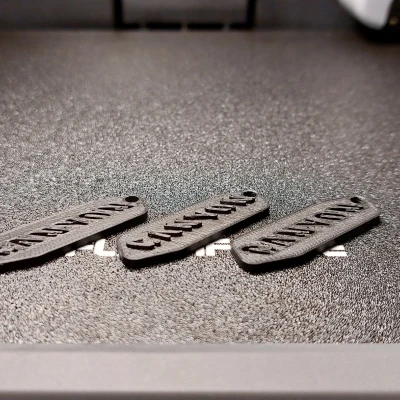 Móc Khóa Logo Canyon - 3 Phiên Bản