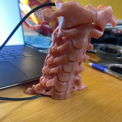 Cột sống cổ (C1 đến C7)