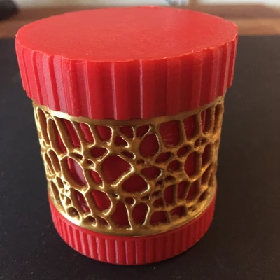 Hộp Đựng Có Chèn Voronoi