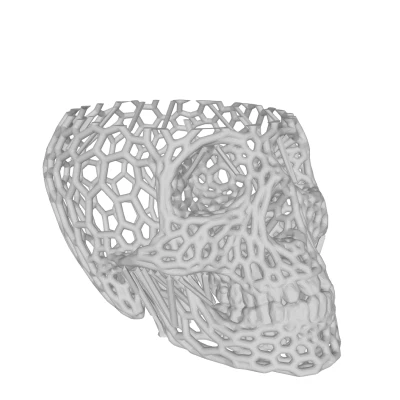 Hộp Đựng Bút Hình Đầu Lâu Voronoi