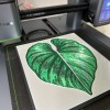 Tranh 3D - Chậu cây Ikea - Trang trí tường - Philodendron - Rudsta - Lỗ nam châm - Thumbnail 3