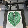 Tranh 3D - Chậu cây Ikea - Trang trí tường - Philodendron - Rudsta - Lỗ nam châm - Thumbnail 4
