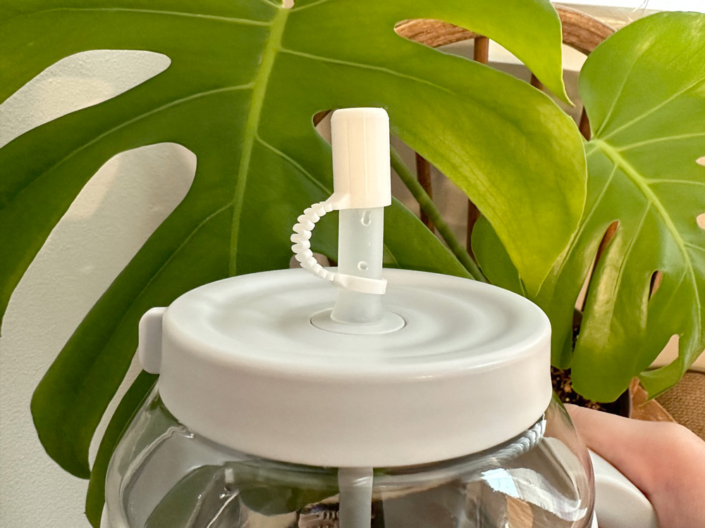 Nắp Bọc Ống Hút Trà Sữa Trân Châu và Sinh Tố