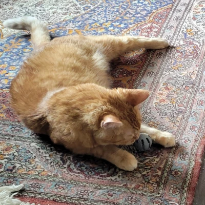 Đồ Chơi Mèo - Trái Banh Trong Trái Banh