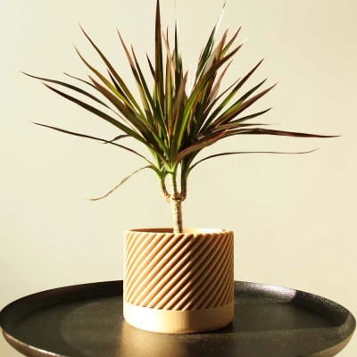 Chậu Cây Hiện Đại Kiểu Xoắn Ốc