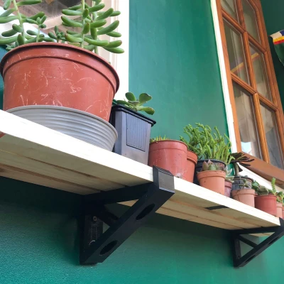 Kệ Treo Tường Trang Trí Cây Cảnh