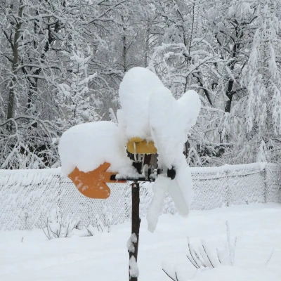 Vịt tập bay - con quay gió 100% in 3D