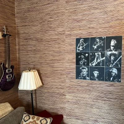 Bruce Springsteen - Tác phẩm nghệ thuật treo tường 3D dòng Rock 8"x8"