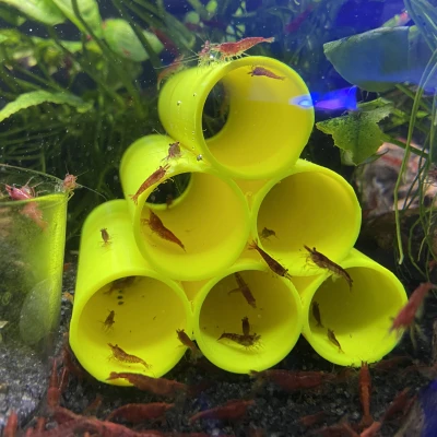 Ống Trú Ẩn Cho Tôm Cá