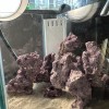 Micro Reef All In One Stand Sump - Thumbnail 4