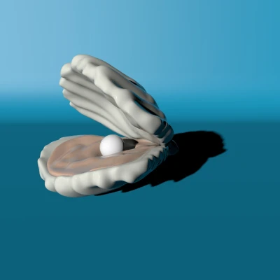 Vỏ Sò Có Ngọc Trai