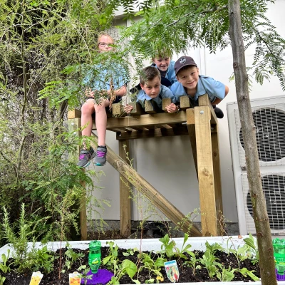 Phụ kiện ăn ong tuyệt vời phiên bản gốc - Cải tiến ổn định