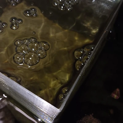 Nôi Nuôi Cá Con - Nuôi Cá Con Bên Ngoài Hồ Cá