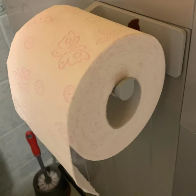 Giá Đỡ Cuộn Giấy Vệ Sinh