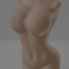 FEMME NUE 2.0 - NUDE GIRL - Thumbnail 1