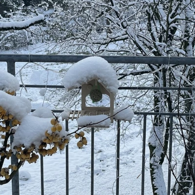 Nhà Chim (Vogelhaus) Phong Cách Bauhaus