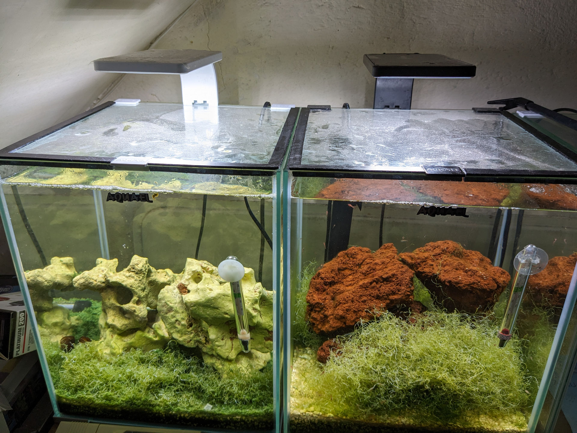 Seal Nắp Hồ Cá AquaEl