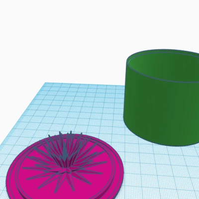 Hộp cẩm chướng