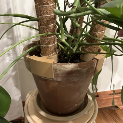 Trụ Rêu Hỗ Trợ Chậu Cây Monstera