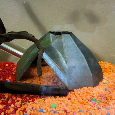 Nhà cá/Hang bò sát