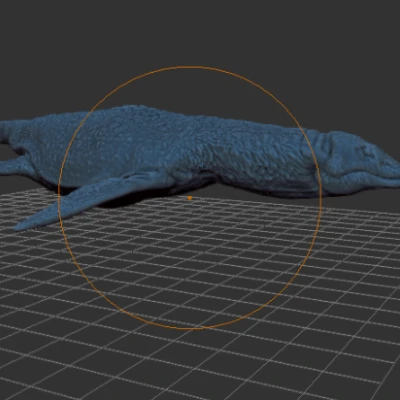 Mô hình Polycotylus