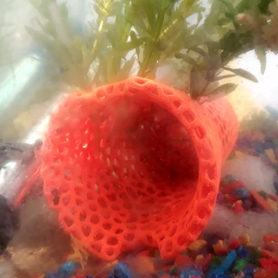 Chậu Voronoi cho Ly Thủy Tinh