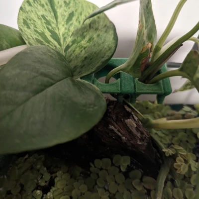 Khay Trồng Cây Cho Bể Thủy Sinh