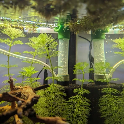 Nâng Cấp Bộ Lọc Bọt Biển (Spongefilter Upgrade)