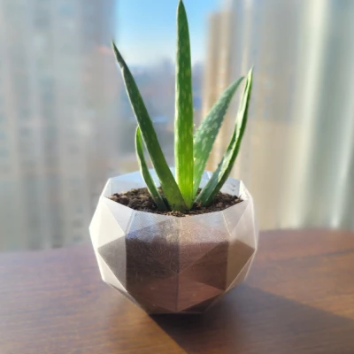 Chậu Cây Hình Khối Hình Học