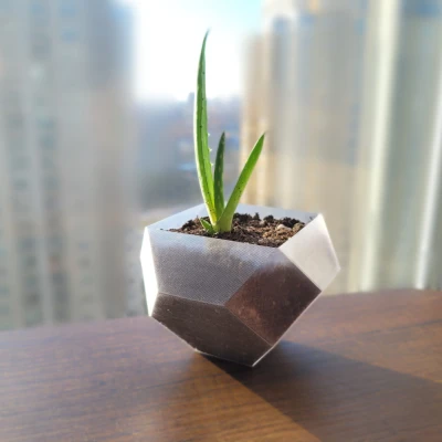 Chậu Cây Hình Khối Hình Học