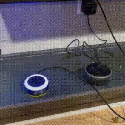 Puck Hỗ Trợ Giọng Nói (Voice Assist Puck)