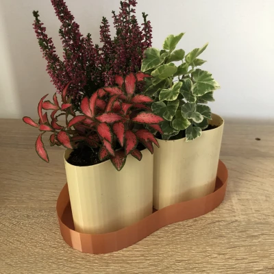 Chậu hoa tự tưới