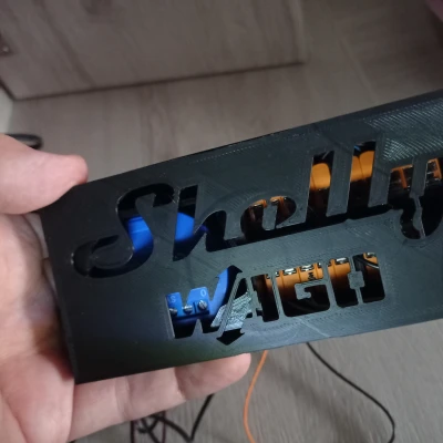 Hộp Shelly/WAGO cho Shelly 1/WAGO 221-5