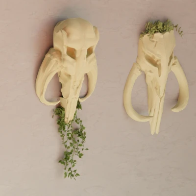 Đầu Rồng Mythosaur (The Mandalorian) - Bộ Chậu Cây Star Wars