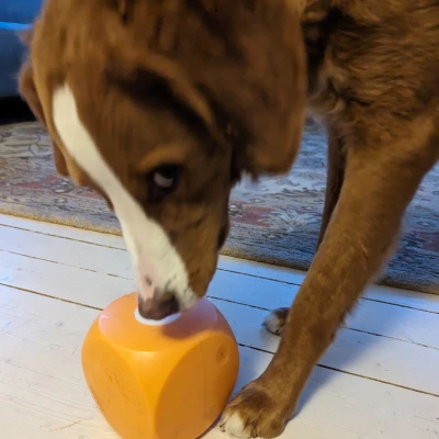 Lõi thay thế cho Buster Cube